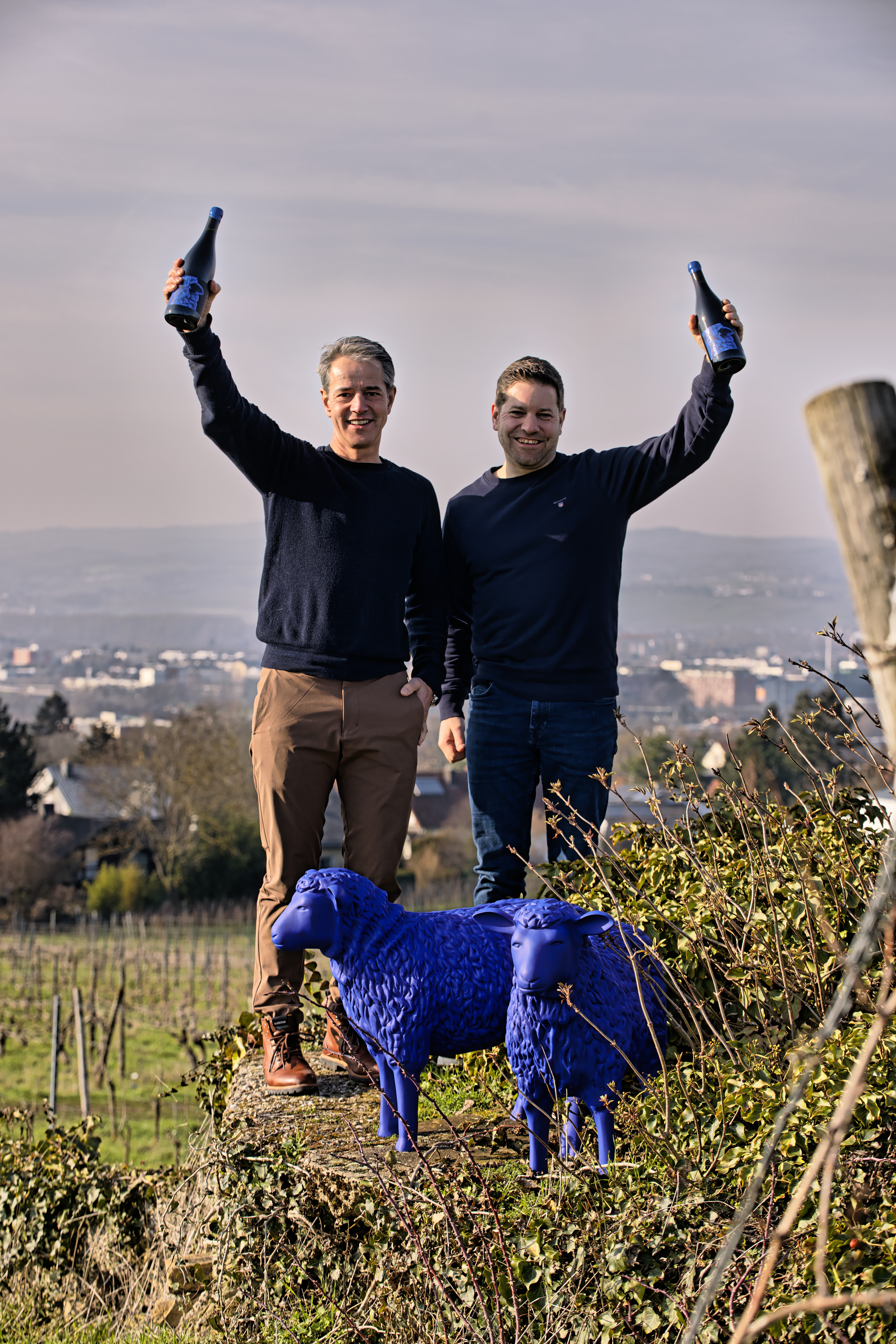 Das Blaue Schaf - Pinot Noir